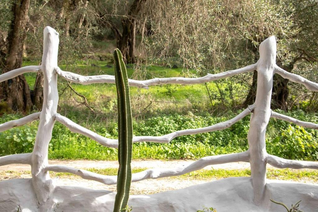 הוילה Paramonas  Margaritis'S Treehouse מראה חיצוני תמונה