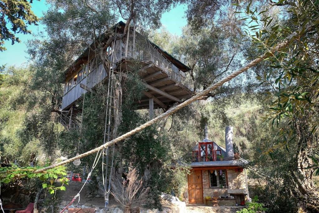 הוילה Paramonas  Margaritis'S Treehouse מראה חיצוני תמונה