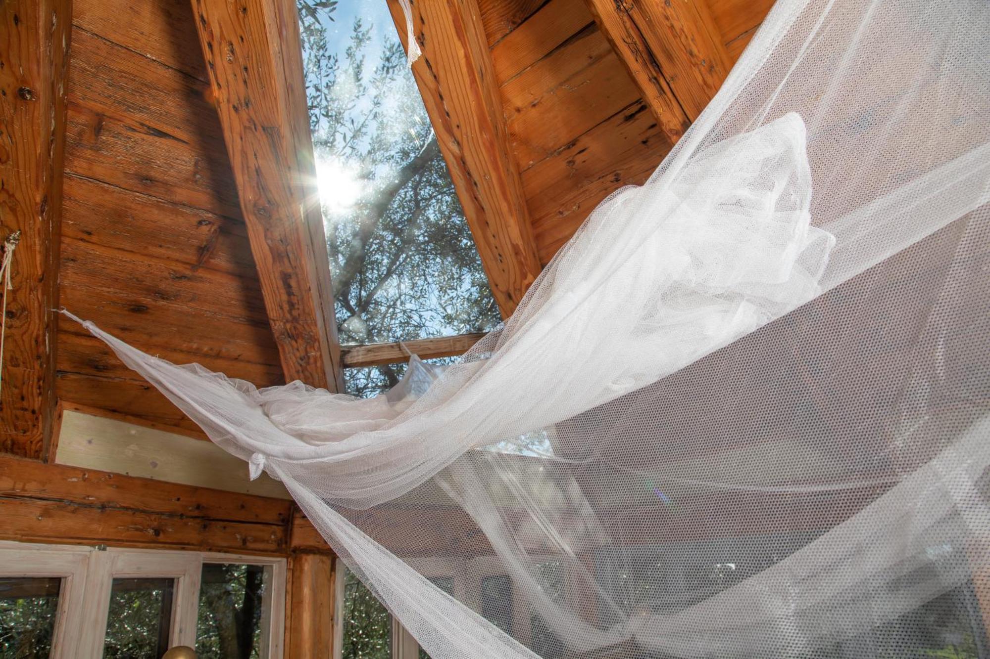 הוילה Paramonas  Margaritis'S Treehouse מראה חיצוני תמונה